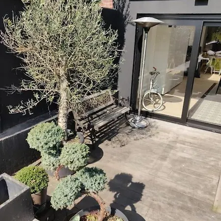 Maison Spacieuse Et Cosy 7 Personnes Estaimpuis