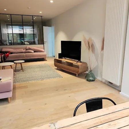 Villa Maison Spacieuse Et Cosy 7 Personnes Estaimpuis